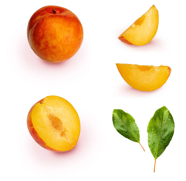 Κίτρινα και πορτοκαλί δαμάσκηνα (ποικιλία γνωστή ως μέλι ή μίμιελ) απομονώνονται σε λευκό φόντο. Περιλαμβάνουν ολόκληρα δαμάσκηνα, τμήματα και φύλλα. Κίτρινο χρώμα, πορτοκαλί, πορτοκαλί. Υγιεινή διατροφή με βάση τα φρούτα (d - Φωτογραφία, εικόνα