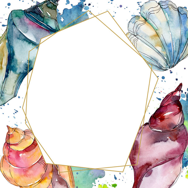 Summer beach seashell tropical elements. Watercolor background illustration set. Frame border ornament square. - Photo, Image