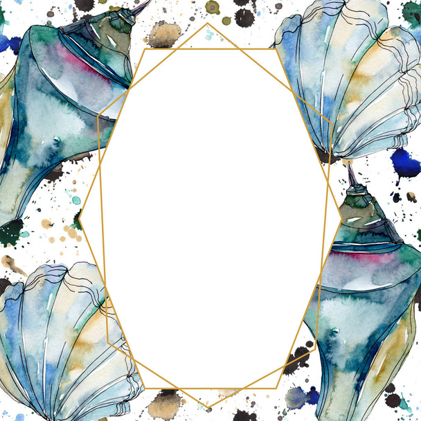 Summer beach seashell tropical elements. Watercolor background illustration set. Frame border ornament square. - Photo, Image