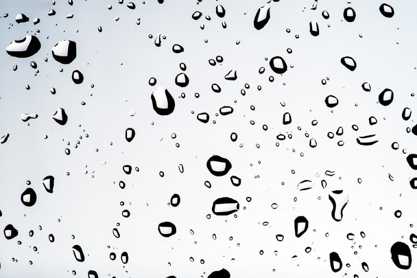 Water drops - Foto, immagini