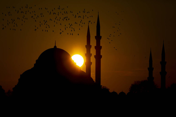 Nowy Meczet (Yeni Cami). Stambuł, Turcja - Zdjęcie, obraz