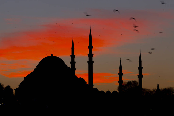 Nueva Mezquita (Yeni Cami). Estambul, Turquía - Foto, imagen