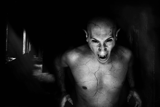 Horror Wampir z twarzą diabła - Zdjęcie, obraz