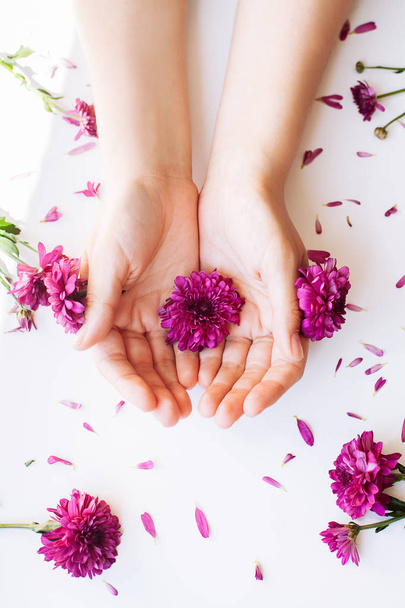 Close up photo of female hands with deep pink  flowers on white  - 写真・画像