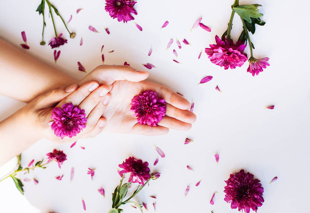Close up photo of female hands with deep pink  flowers on white  - Fotografie, Obrázek