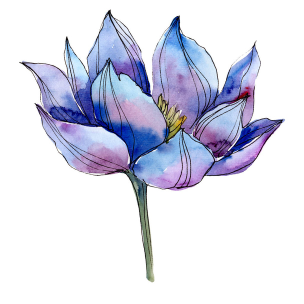 Blue lotus floral botanical flowers. Watercolor background illustration set. Isolated lotus illustration element. - Photo, Image