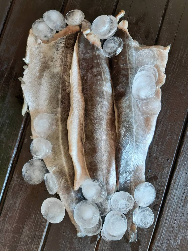 Filete de pollock de pescado fresco y hielo en una tabla
. - Foto, imagen