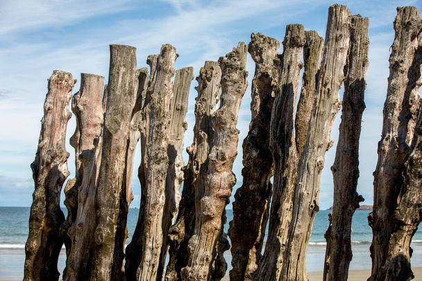 Big breakwater, 3000 troncos para defender a cidade das marés, Plage de l 'ventail beach em Saint-Malo, Ille-et-Vilaine, Brittany, França
 - Foto, Imagem
