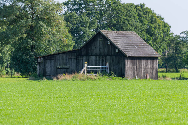 Старый деревянный амбар посреди поля с зеленым лугом i
 - Фото, изображение