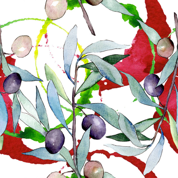 Olívaolaj ág, fekete gyümölcs. Akvarell háttér illusztráció meg. Folytonos háttérmintázat. - Fotó, kép