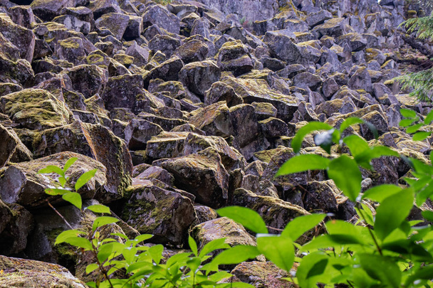 Rocks gather moss and shine in the morning sun near Brandywine falls - Photo, Image