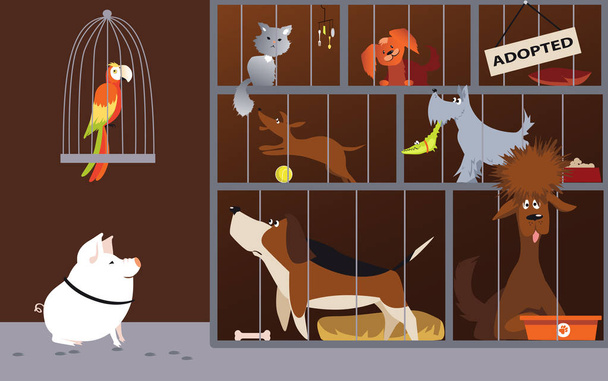 Tierheim-Innenraum mit Haustieren, die auf Adoption warten, Folge 8 Vektorillustration - Vektor, Bild