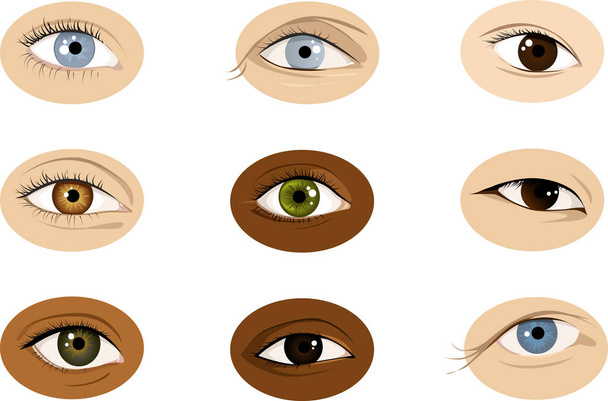 Conjunto de ilustraciones vectoriales racialmente diversas realistas de ojos humanos, hombres y mujeres, EPS 8, sin transparencias
 - Vector, Imagen