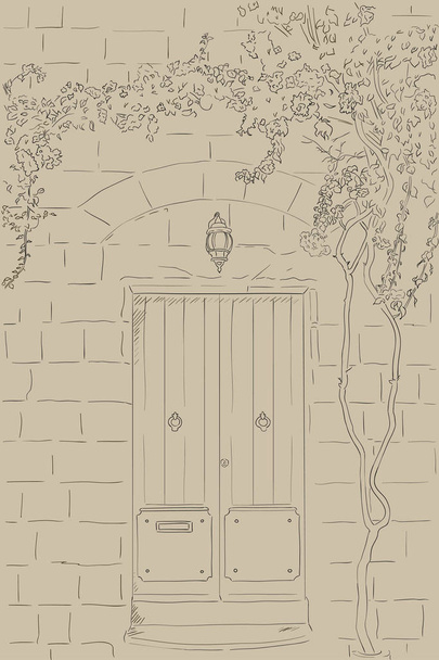 Drawn sketch door, lamp. Climbing tree on wall. Outline illustration - Vector, Image