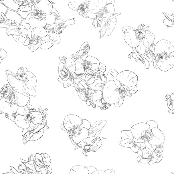 Flowers seamless pattern background line illustration orchids. Floral elements. - Vector, Image
