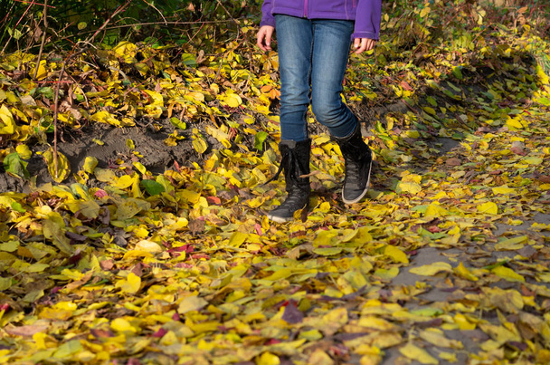Ayaklar yolda yürüyor. Sonbahar yolu. Sonbaharda yürüyün. - Fotoğraf, Görsel