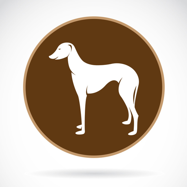 Image vectorielle d'un chien (azawakh
) - Vecteur, image
