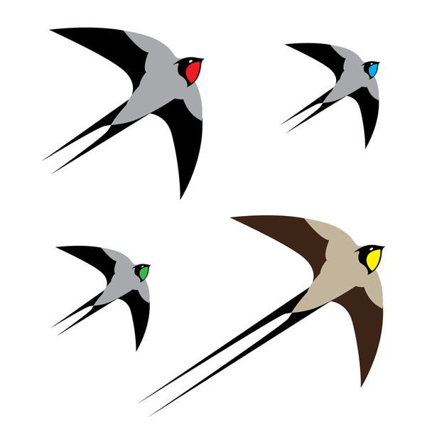 τέσσερα πολύχρωμα πουλιά κατά την πτήση - Διάνυσμα, εικόνα