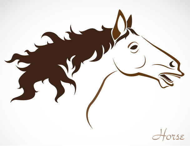 Imagen vectorial de un caballo
 - Vector, imagen