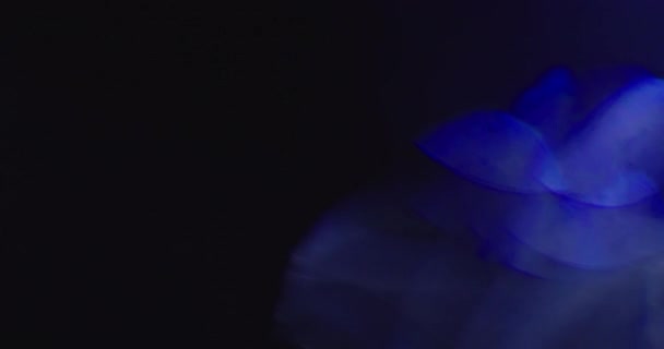 Stüdyoda Siyah Arkaplan Üzerine Gerçek Lens Fişeği Çekimi - Video, Çekim