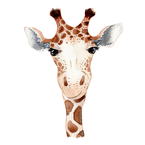 Cute giraffe cartoon watercolor illustration animal - Foto, Imagen