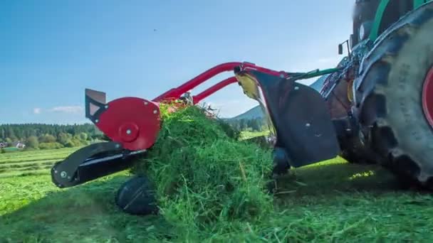 Een prachtig groen gras vliegt rond wanneer de boeren het met de machines snijden. De dag is zonnig en warm. - Video