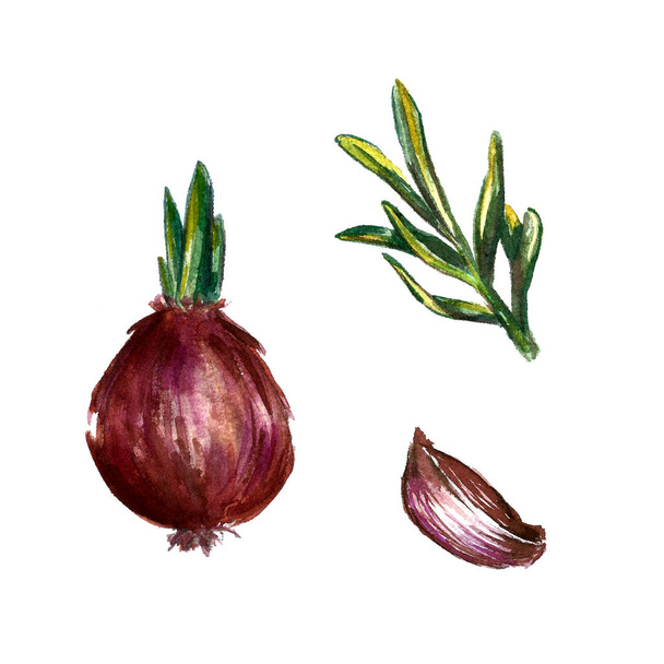 Onion, rosemary and garlic watercolor illustrations set. Autumn, fall, harvest. Background textile. - Φωτογραφία, εικόνα