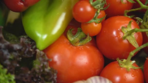 tomaten, paprika, knoflook en andere groenten - Video