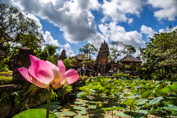 Temple Ubud avec étang à Bali Indonésie
 - Photo, image