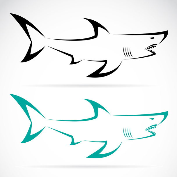 Vektorbild eines Hais - Vektor, Bild