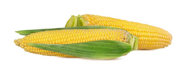 maïs isolé sur fond blanc - Photo, image