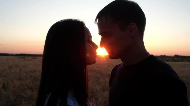 sylwetka zakochanej pary o zachodzie słońca. Młoda dziewczyna i chłopak całujący letni wieczór w terenie. Romantyczny związek natury. - Materiał filmowy, wideo