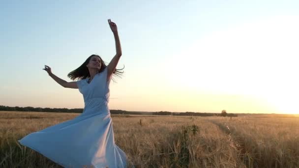 krásná mladá dívka s dlouhými tmavými vlasy a modrými šaty se točí v pšeničném poli s rukama nataženými. Žena šťastná. Smích. Přirozené světlo. Na pozadí letního slunce a modrého nebe. - Záběry, video