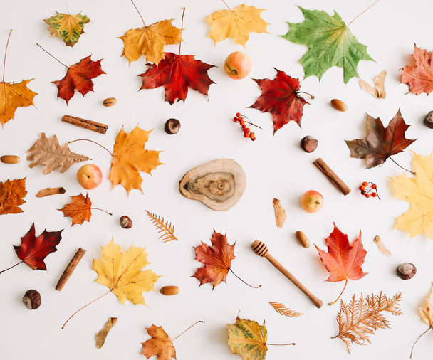 Autumn composition. Frame made of autumn leaves on white background. Flatlay, top view, copy space. Fall concept. - Fotó, kép