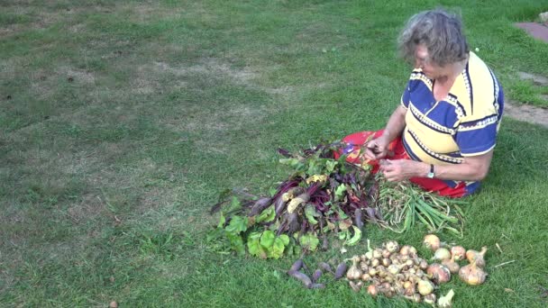 Çimenlerin üzerinde oturan yaşlı köylü kadın taze pancar kökü sebzelerini işliyor. 4k - Video, Çekim