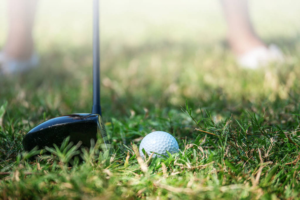 close up of golf ball with club driver on rough - Zdjęcie, obraz