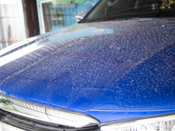 mavi araba kir, kirli arabanın toz kaputu  - Fotoğraf, Görsel