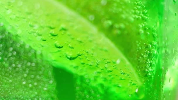 sappige verse schijfje groene limoen in een glas sprankelend water. Macromodus. - Video