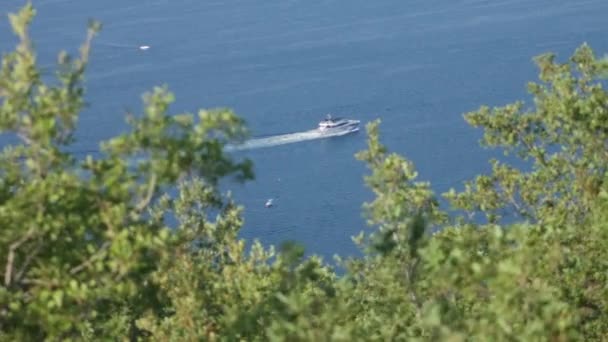 Yeşil ormanın üst dallarından gemi ve mavi deniz görünümü - Video, Çekim