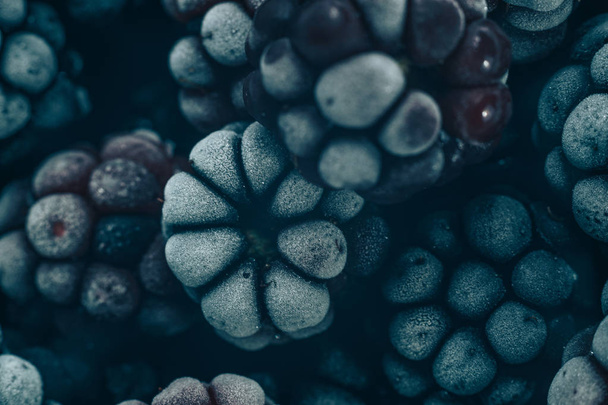 Close up fresh frozen blackberry background. Macro view. - Фото, изображение