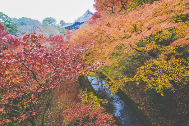 Herbst rote Blattlandschaft des Kyoto-Tempels, Japan - Foto, Bild