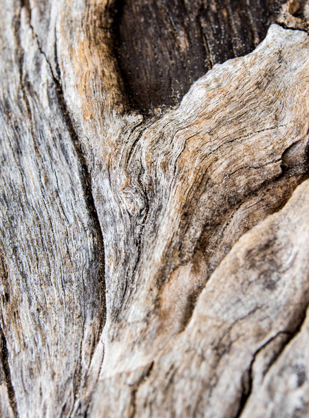 Textuur van oude stronk hout oppervlak - Foto, afbeelding