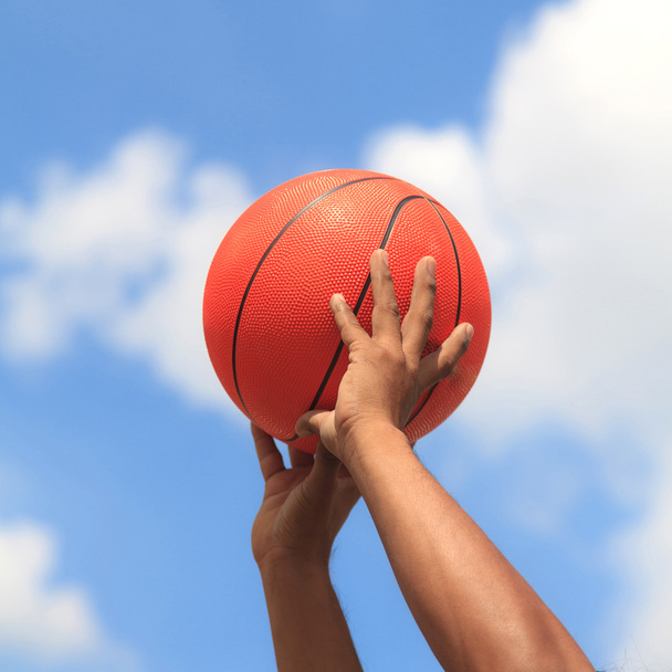 Basketball in hands - 写真・画像