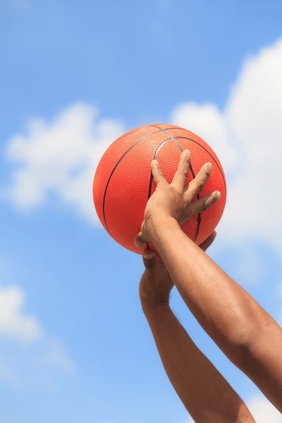 Basketball in hands - 写真・画像