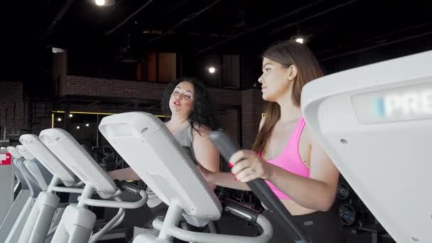 Twee plus size vrouwen praten tijdens het trainen in de sportschool op elliptische trainer - Video