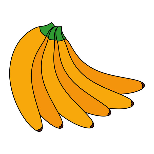 Elszigetelt banán gyümölcs vektor design - Vektor, kép