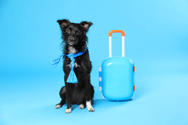 Cute dog with scarf and small suitcase on blue background - Fotó, kép