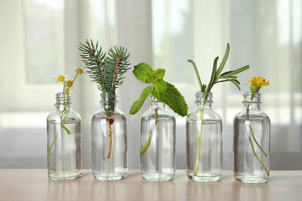 Glass bottles of different essential oils with plants on table - Foto, Imagen