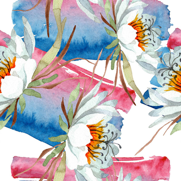 epiphillum oxypetallim blanco flores botánicas florales. Juego de ilustración en acuarela. Patrón de fondo sin costuras
. - Foto, imagen