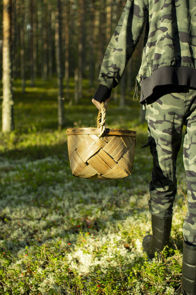 Pilzsammler mit Korb in einem Kiefernwald. - Foto, Bild